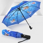 Digital Printing Windproof Folding Automatic Umbrella